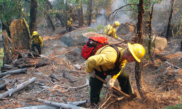 Firefighters use hand tools to scrape away vegetation and reach mineral soil to build a fireline.