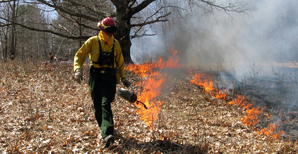 Prescribed fire at the Revolutionary War-era Saratoga National Historical Park Prescribed fire at the Revolutionary War-era Saratoga National Historical Park