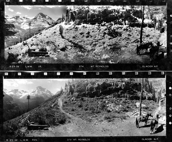 historic landscape views of Mount Reynolds, Glacier National Park. 