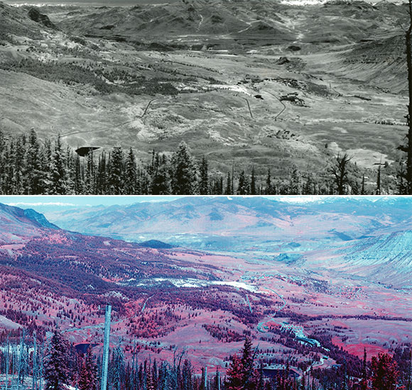 Yellowstone landscape from 1935 to 2008 Yellowstone landscape from 1935 to 2008