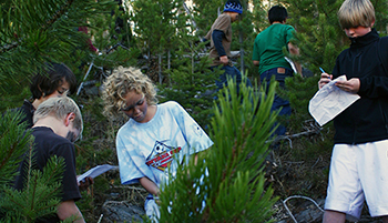 students recording observations in the woods