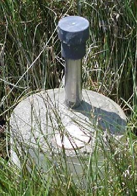 a salt marsh monitoring device surrounded by marsh grass