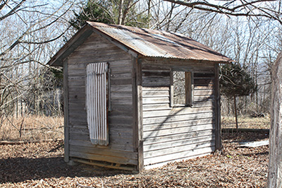 Small, square wooden structure with a corrugated metal roof framed by leafless trees.