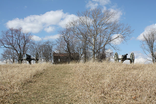 Two cannons stand in dry winter grass at the crest of a hill, in front of bare trees and a house.