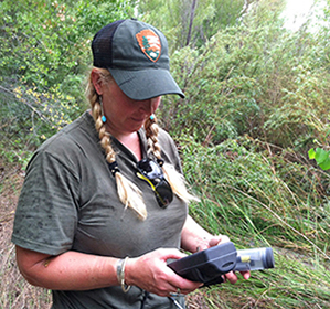 Staffperson calibrating equipment used for monitoring