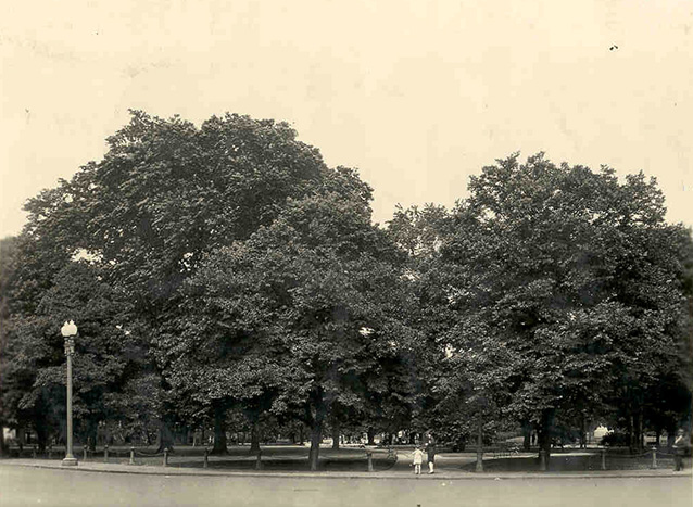 Two people at the perimeter of a city park appear small under a large canopy of trees.