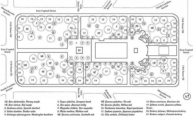 A site plan of the park labels the placement and species of deciduous and evergreen trees