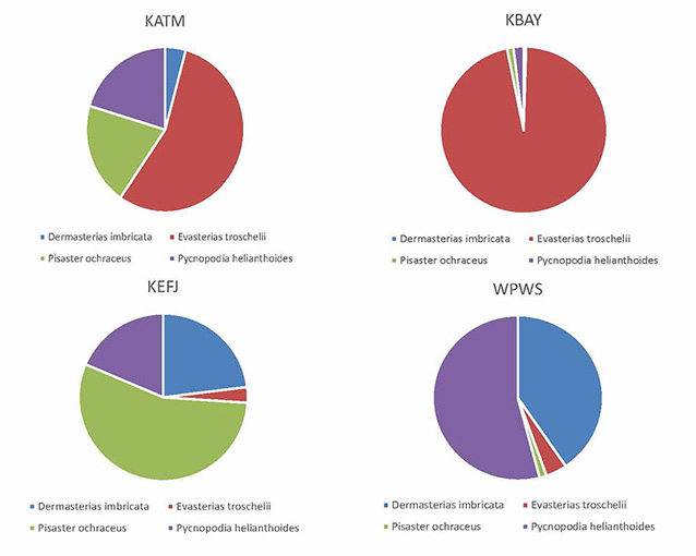 A graph of four pie graphs of sea star species.