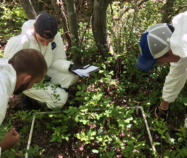 Staff monitor vegetation in the Sunken Forest Staff monitor vegetation in the Sunken Forest