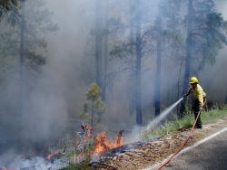 Firefighter using a hose to put out flames on the edge of a road. 