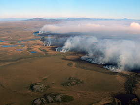 Aerial view of smoke plumes coming from tundra fire.