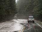 Flooded road in Mount Rainier National Park.
