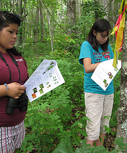 Two girls identifying a tree