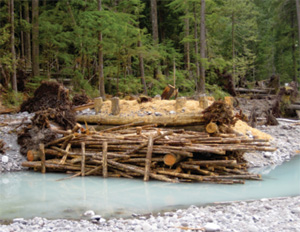 Logs and other material along the river Logs and other material along the river
