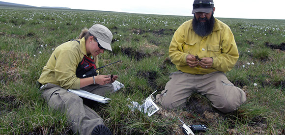 A woman and a man sit on the tundra looking at organic material.