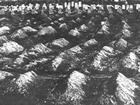 Photo of freshly buried marked and unmarked graves near Petersburg, Va.