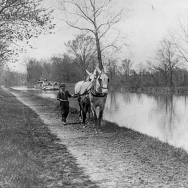 Photograph of a young boy pulling mules by the canal