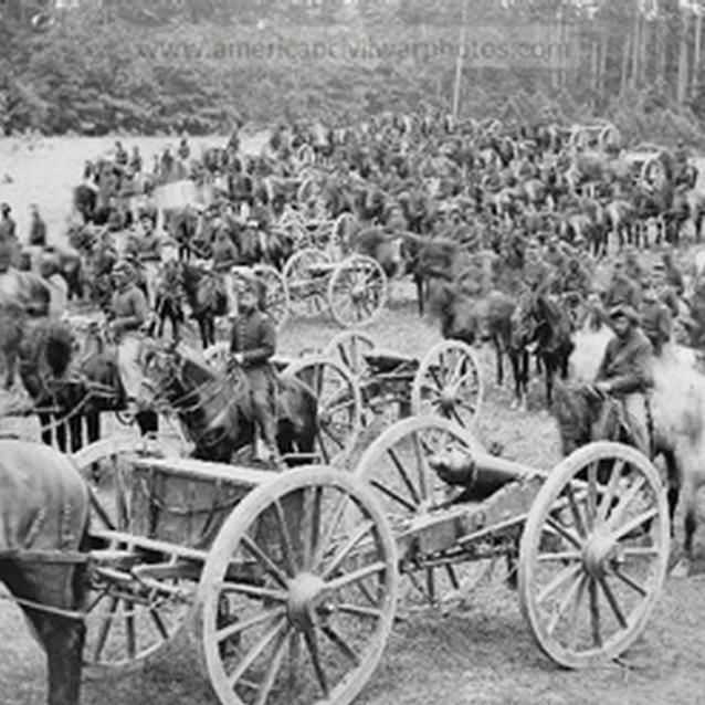 Photograph of horses and horses pulling carriages Photograph of horses and horses pulling carriages