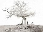 Photograph of dead soldiers after the Battle of Antietam