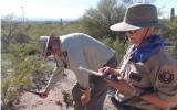 A volunteer with a digging tool and a volunteer with a clipboard, at work in the desert