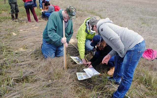 Several students kneel in a grassy marsh with a wooden measuring stick.