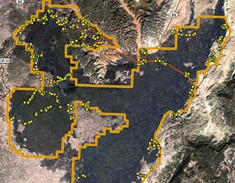 A portion of a vegetation map from El Malpais National Monument