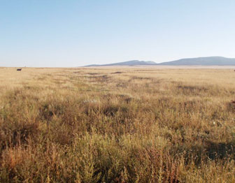 Grassland at Fort Union National Historic Site