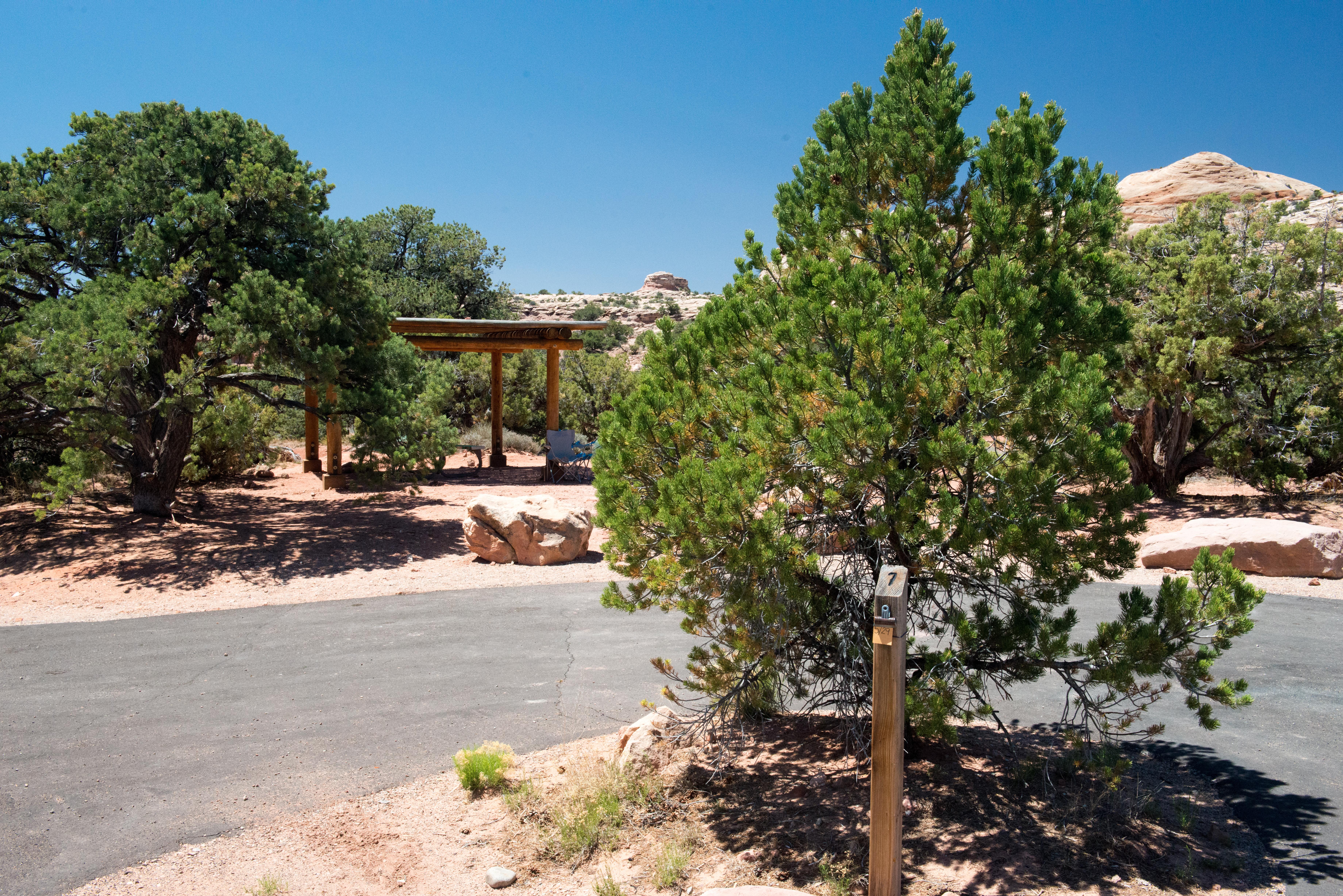 a paved parking area with a juniper tree and a shade structure in the distance