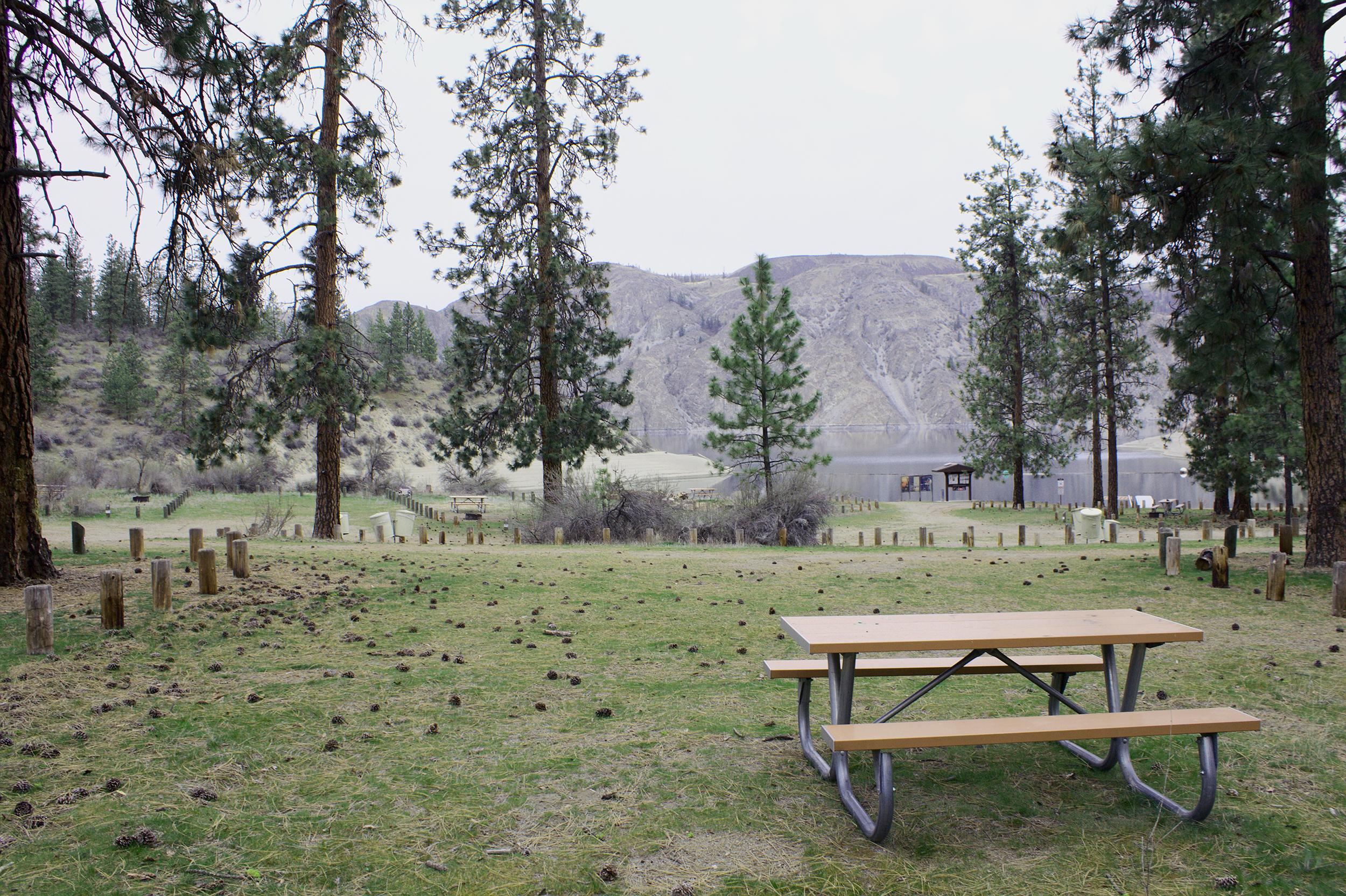 Looking toward the lake and the boat ramp, a campsite with a picnic table and gravel road in front.