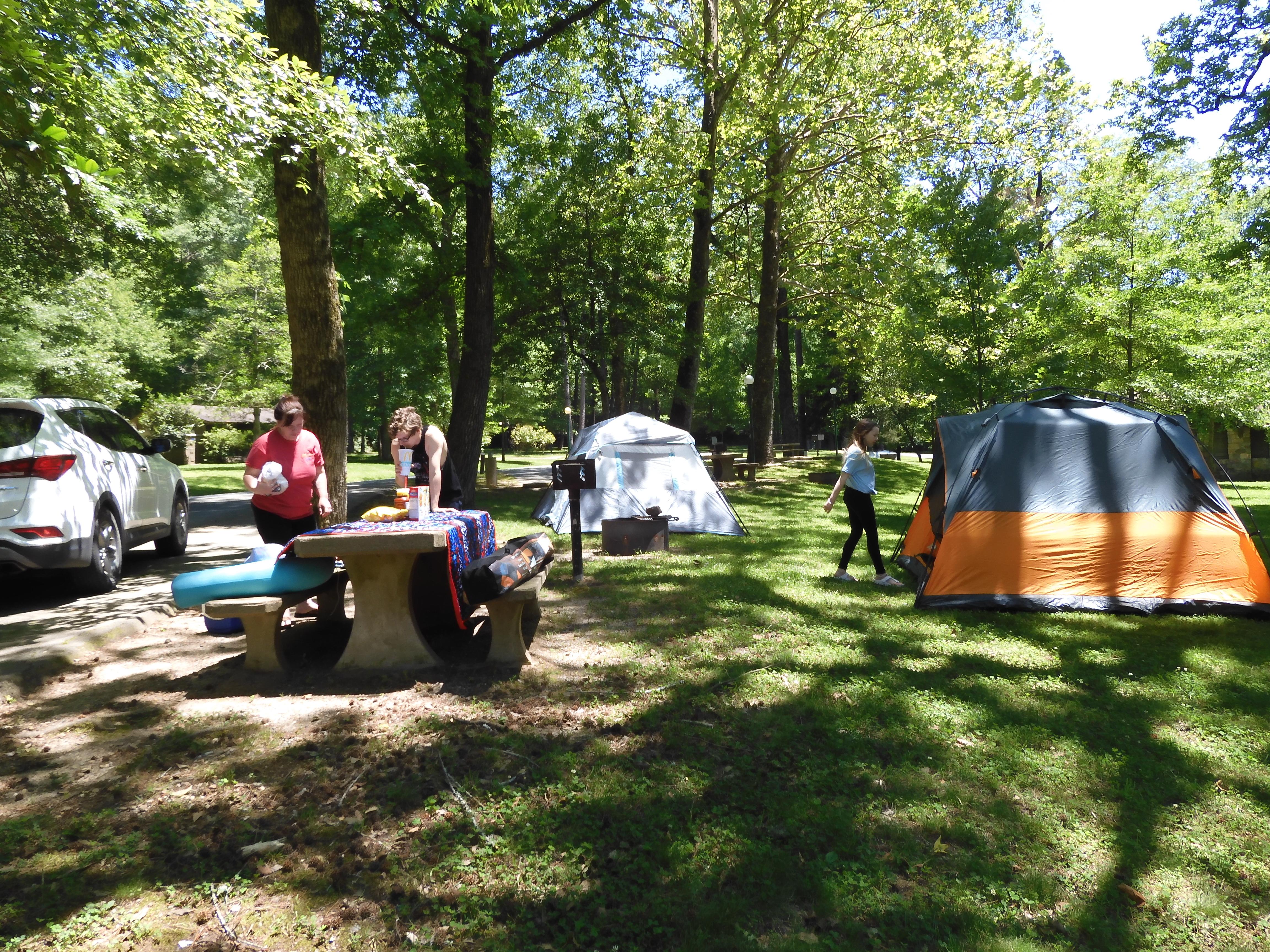 Several colorful tents are set up underneath the canopy of the trees at the campground.