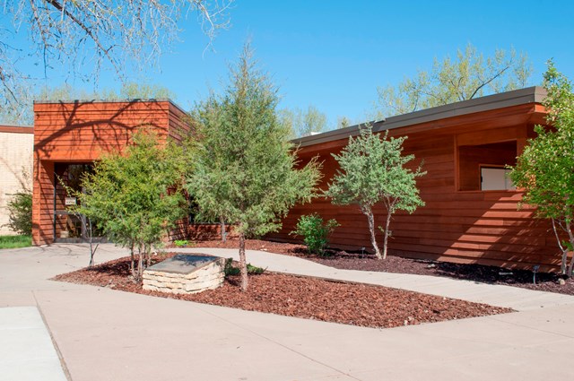 A manicured native plant garden with a wooden building in the background