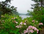 Image of campground site