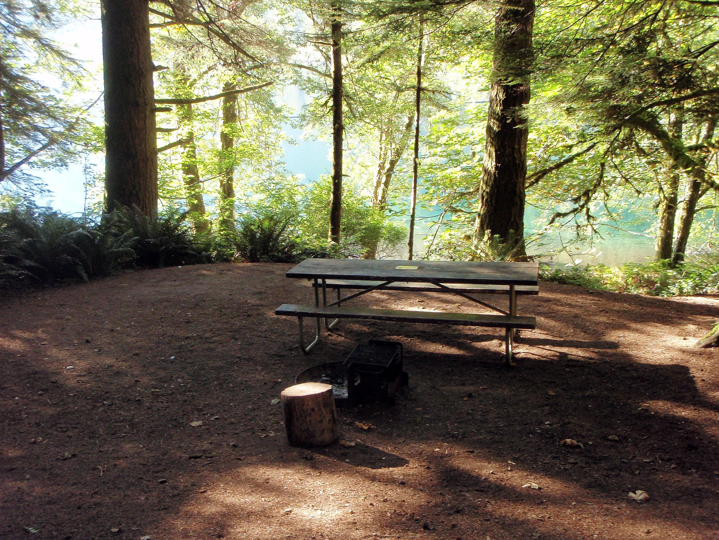 A campsite with a picnic table. Beyond the trees, glittering turquoise water.