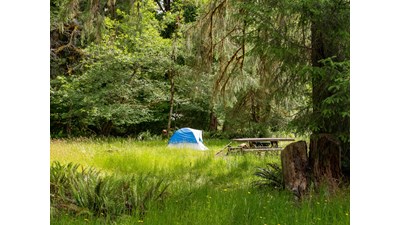 A campsite with a tent in the grassy field