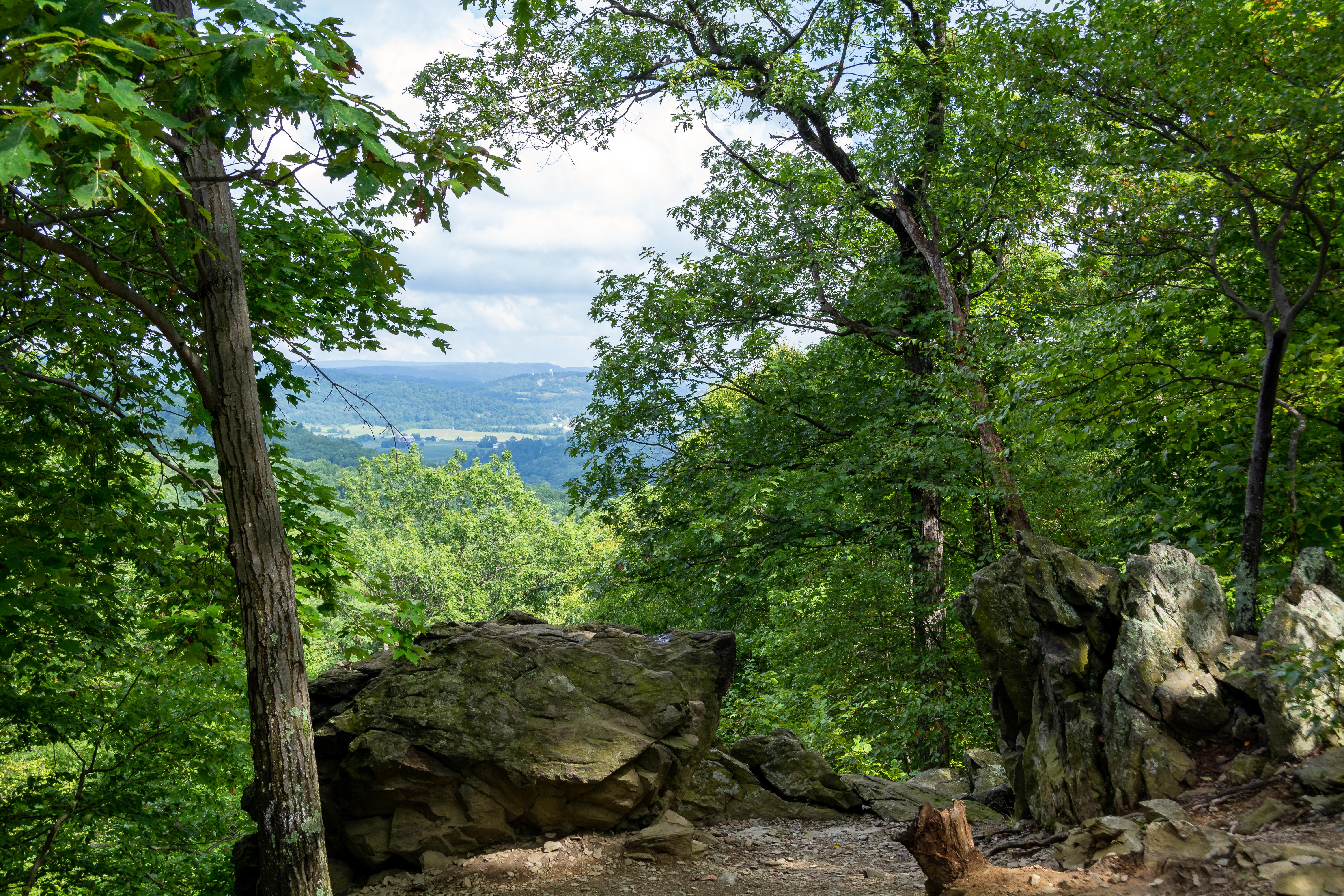 A rocky outcrop nestled amongst trees overlooking a valley.