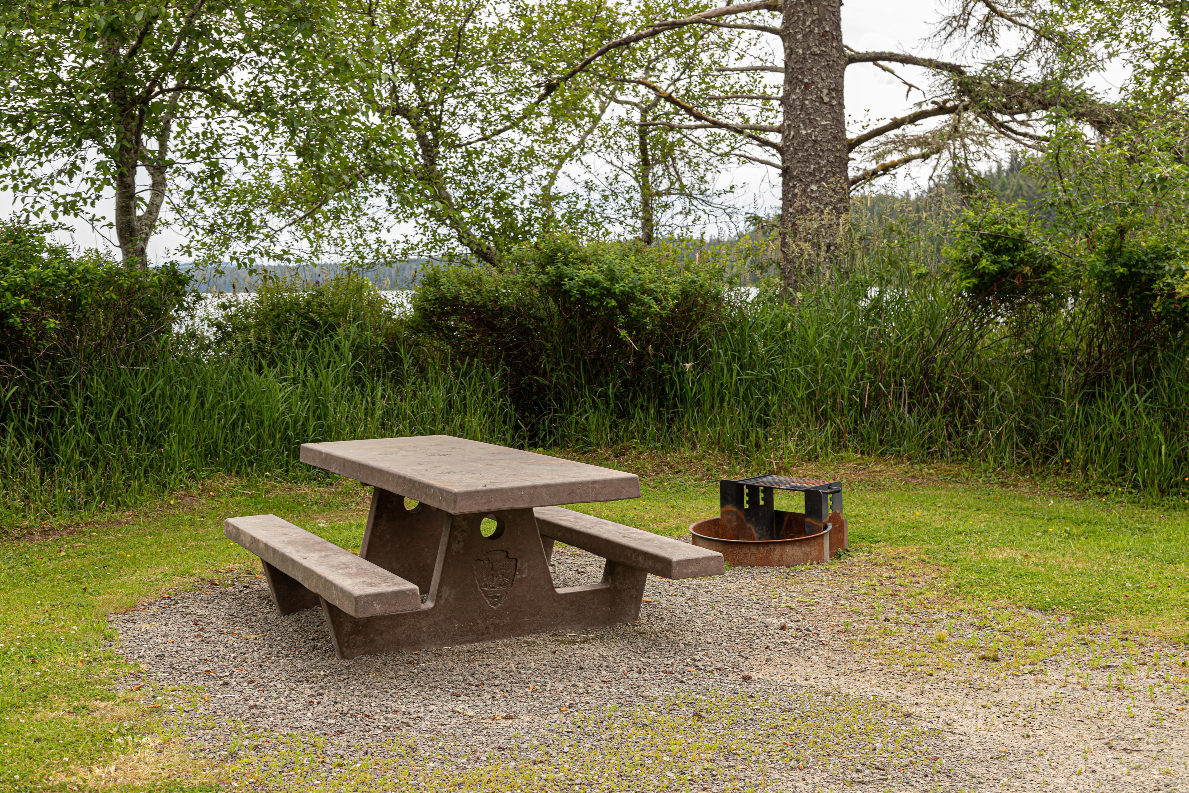 A grassy campsite with picnic table.