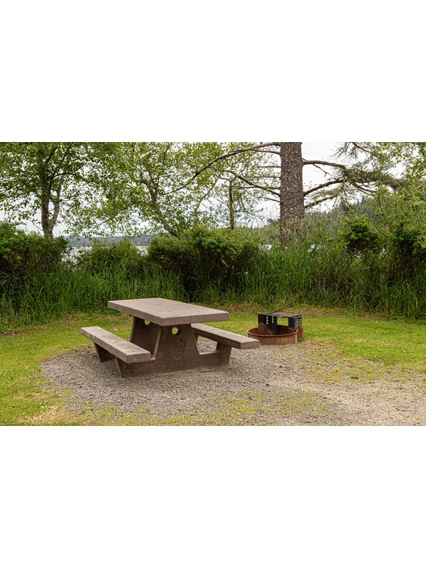 A grassy campsite with picnic table.