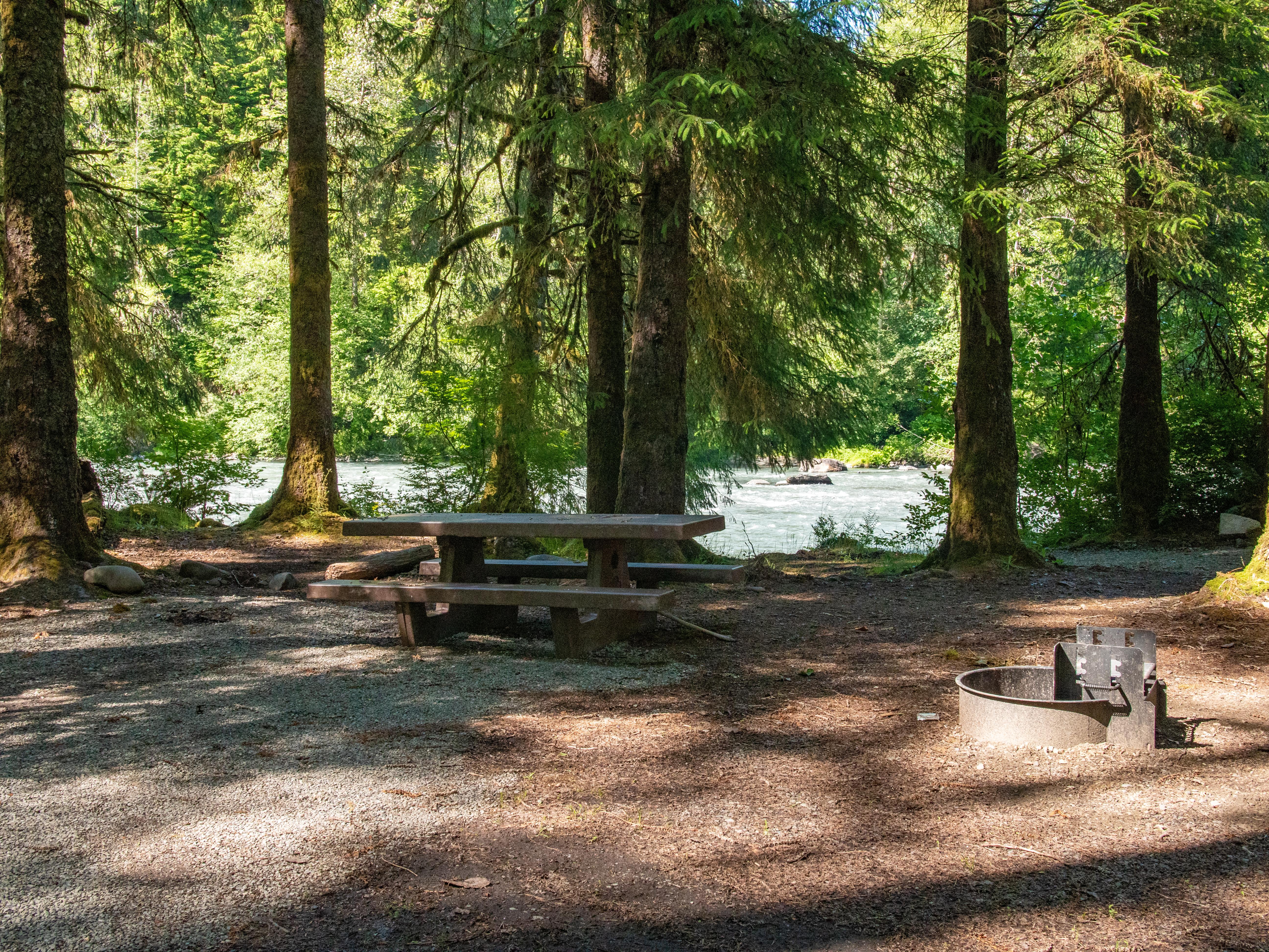 A campground with a fire pit and picnic tables among conifer trees, beside a rushing river.
