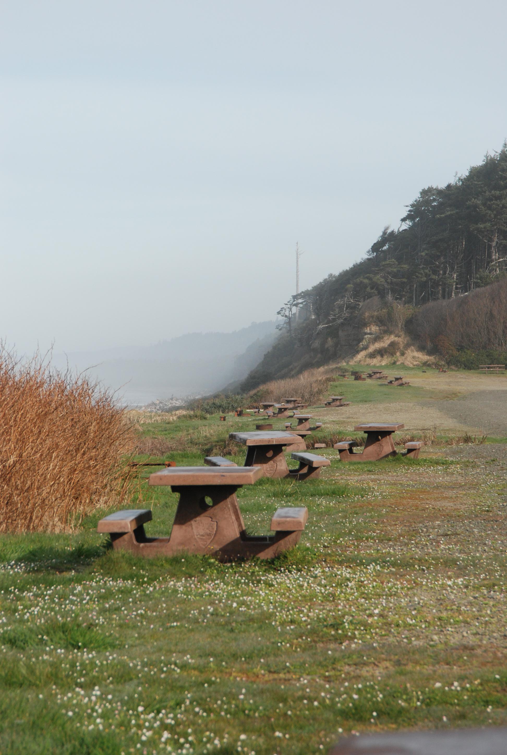 Picnic tables on a bluff overlooking the ocean.