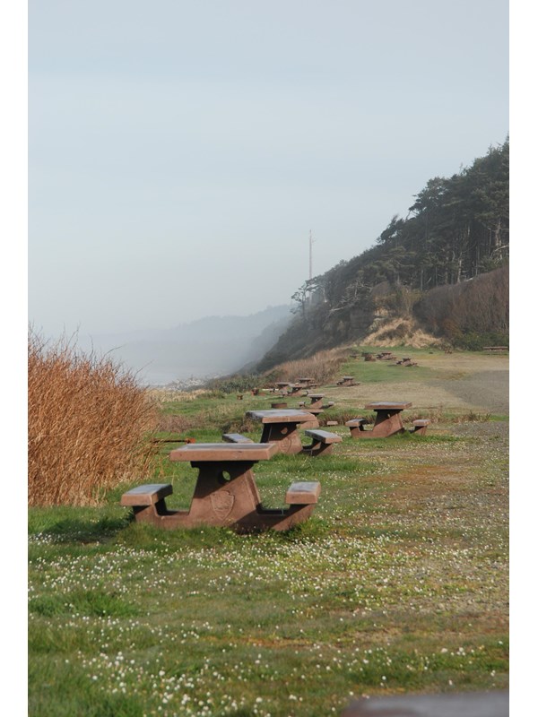 Picnic tables on a bluff overlooking the ocean.
