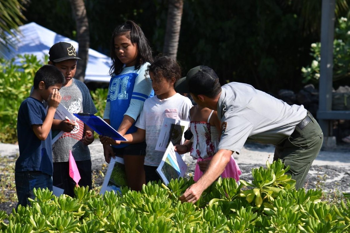 Learning from park staff about plants