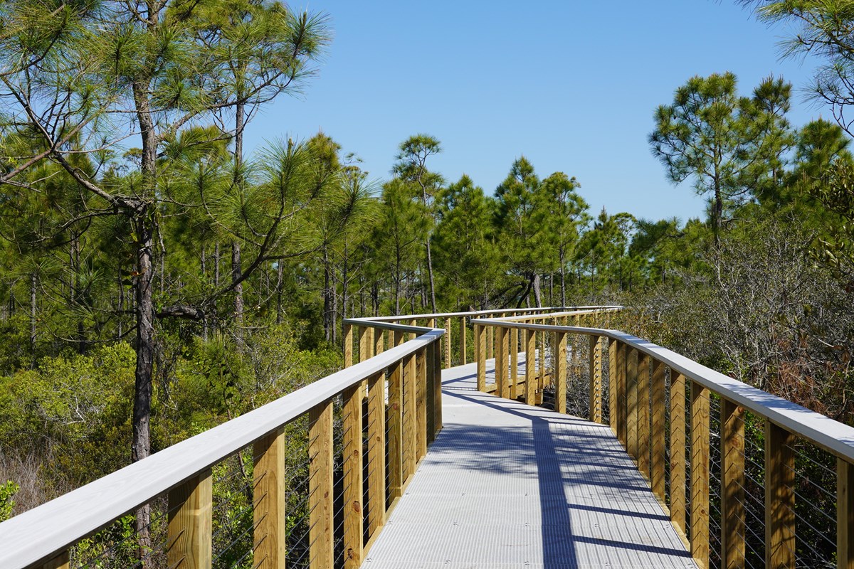 Wood boardwalk to a sound water.