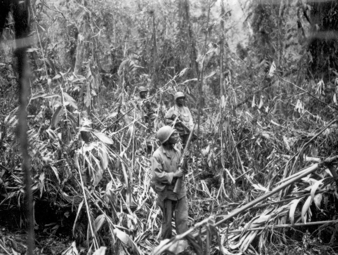 Three African American soldiers holding rifles and walking amongst tall grass and brush