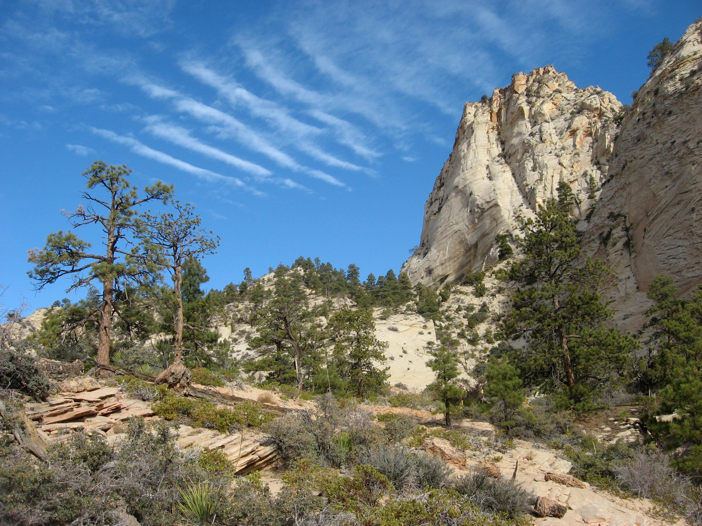 Distinct sandstone layers are exposed to a blue sky. Plateaus of white sandstone stand tall.