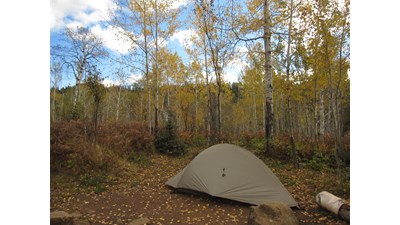 Tent in East Chickenbone Campground during fall foliage.