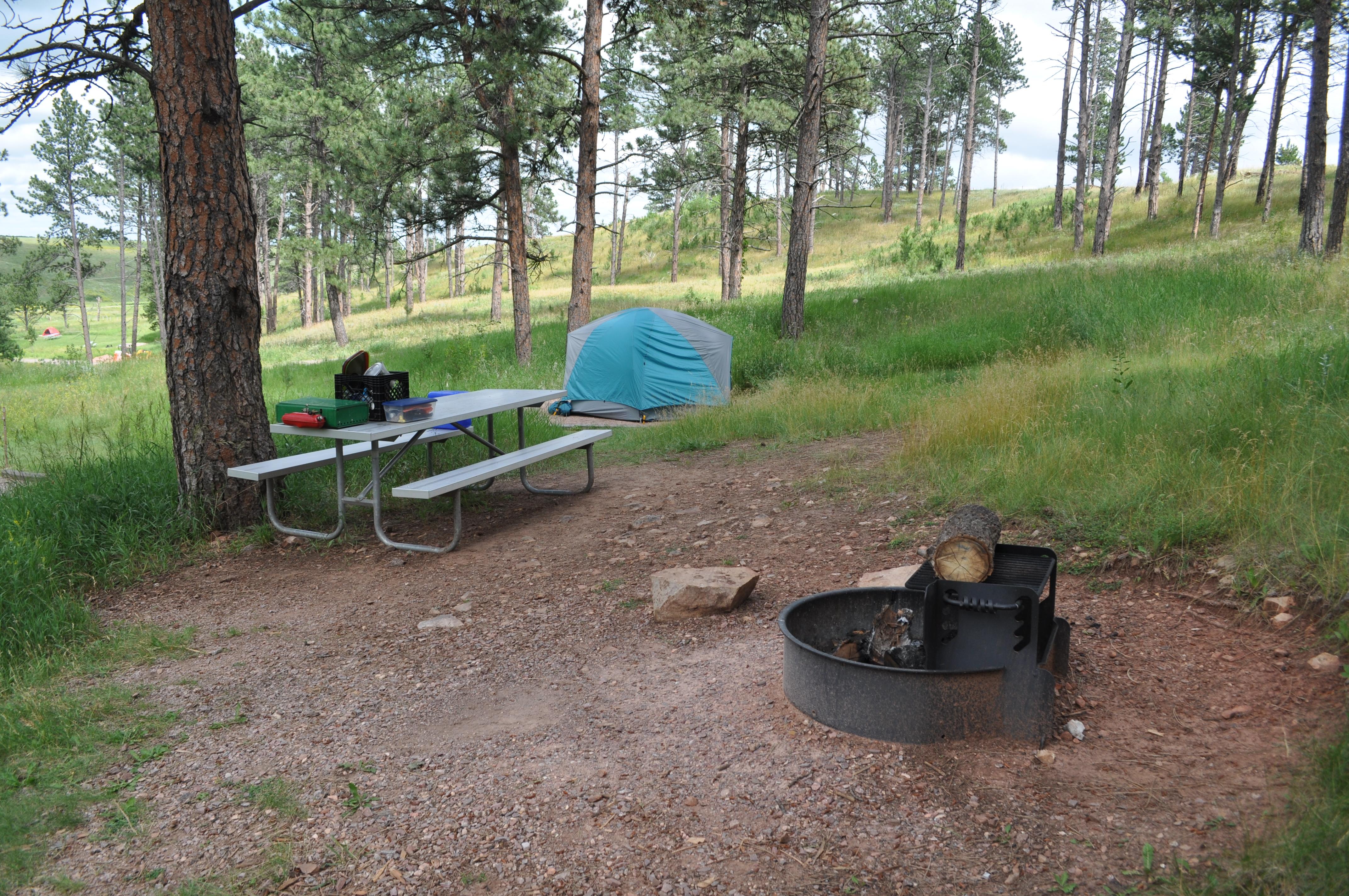 A campsite is set up with a tent, picnic bench and metal fire ring.