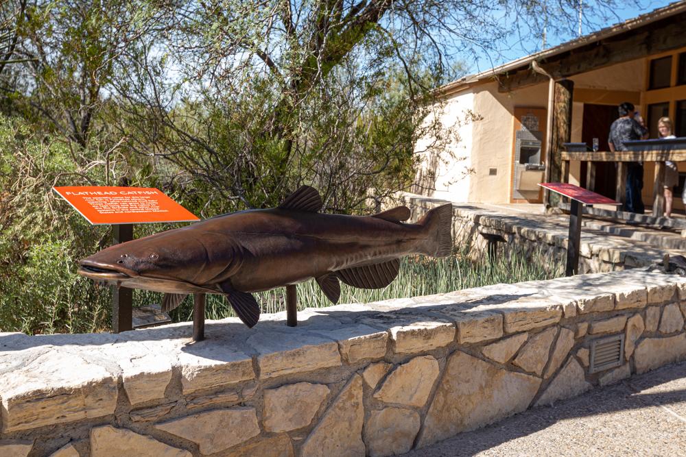 Outdoor sculpture of a catfish