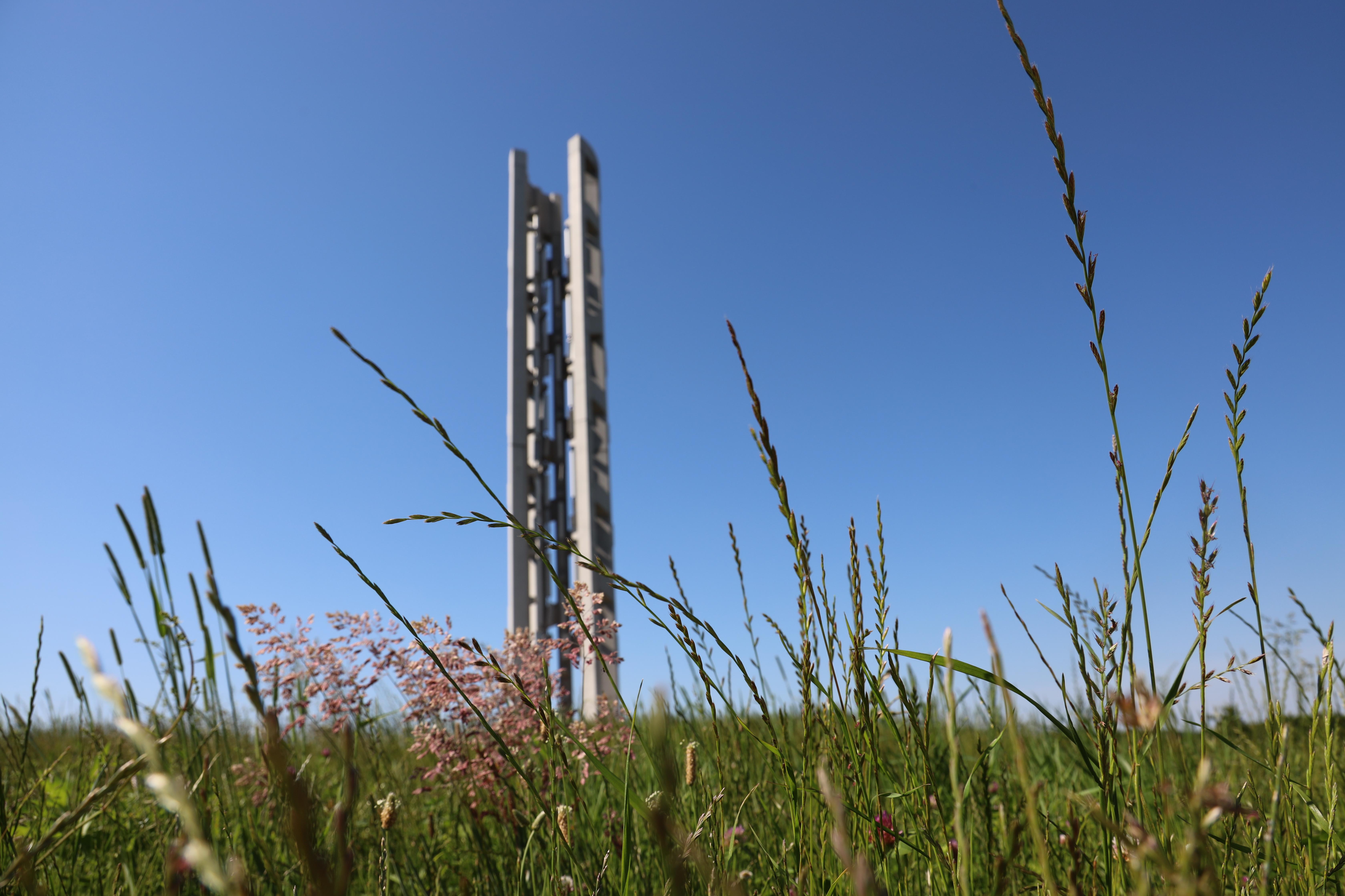 Wildflower and tall grass with the Tower of Voices behind.