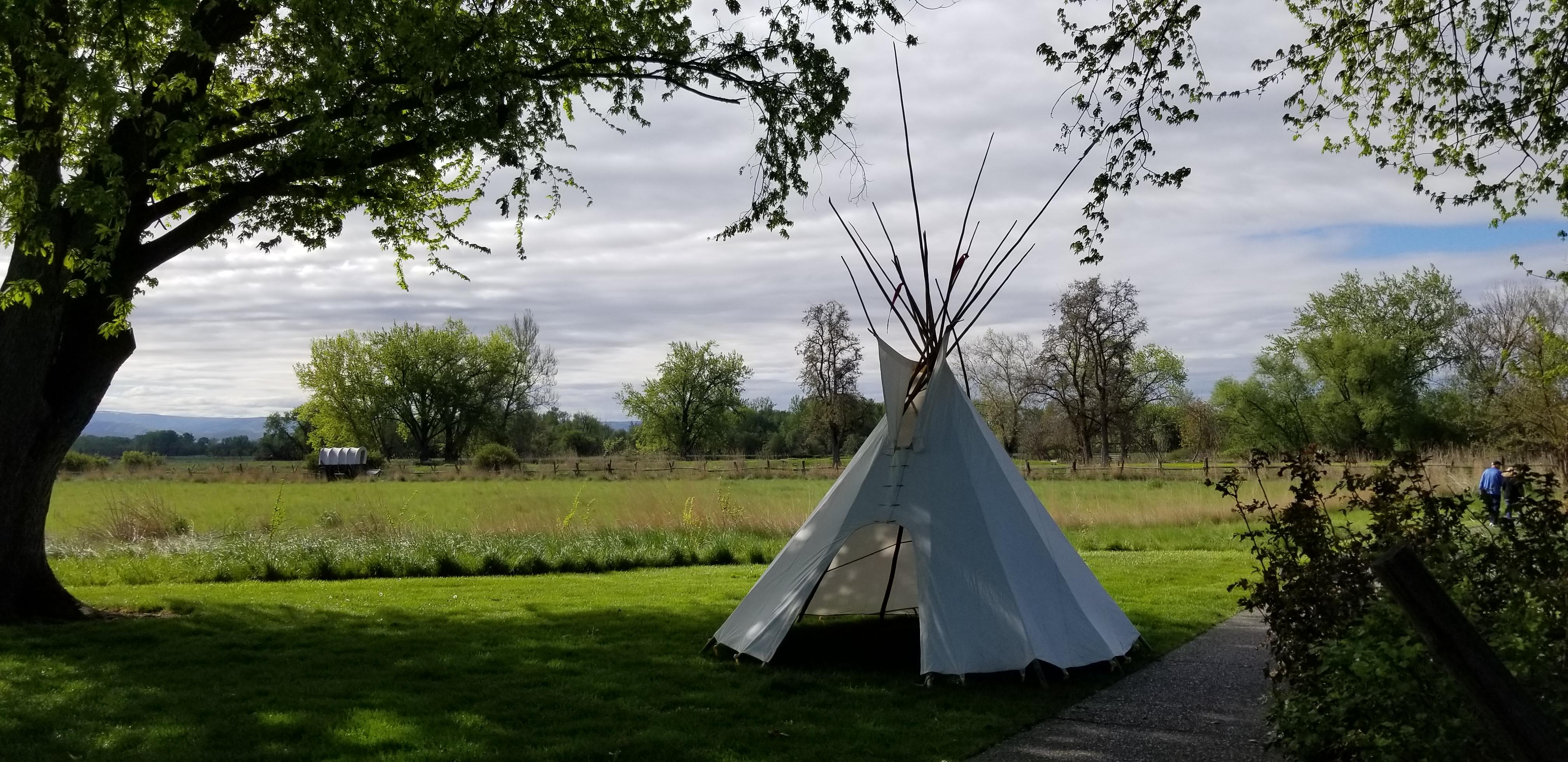 A tipi sits beneath a tree near a walking trail