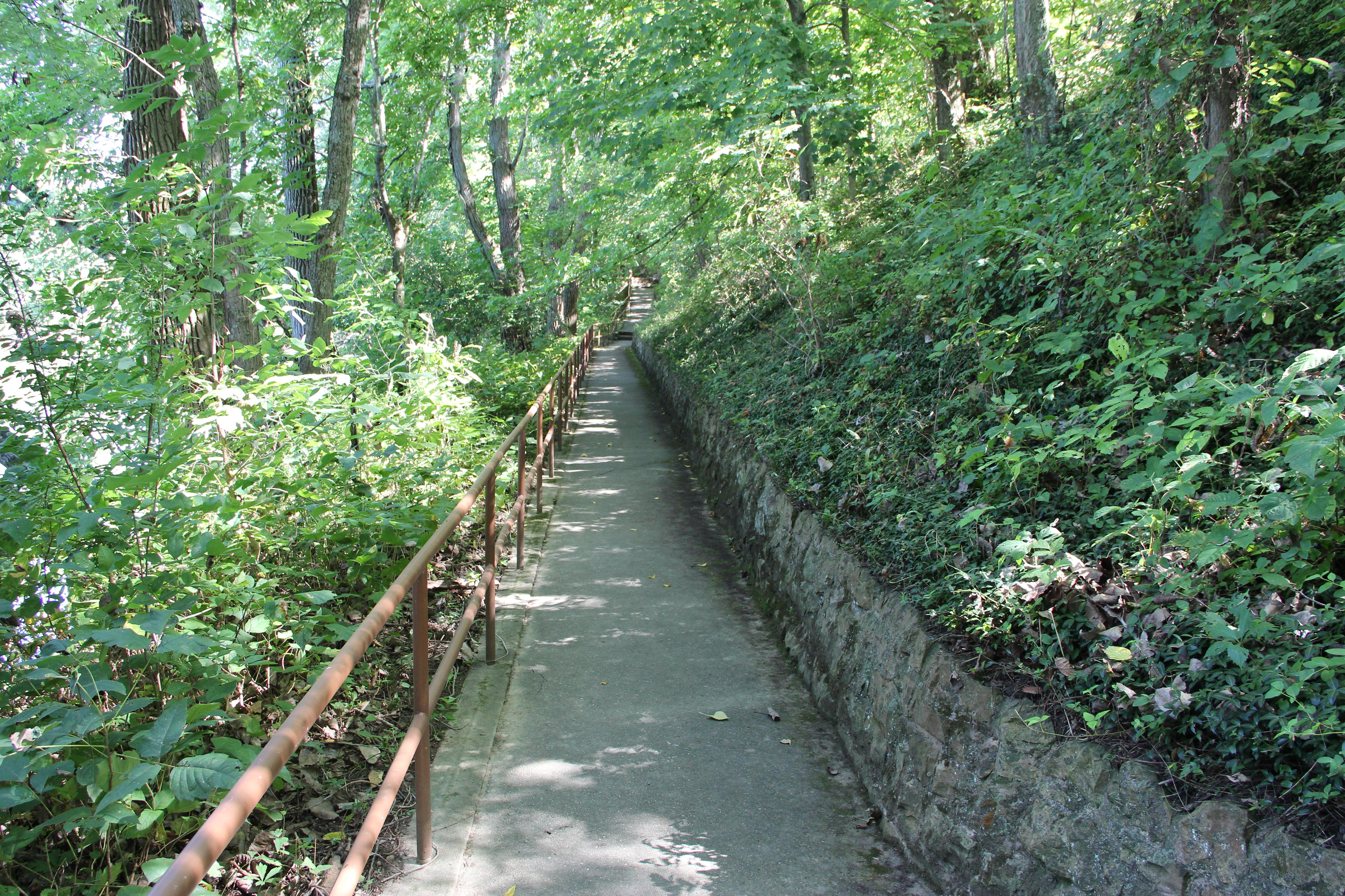 An asphalt path with a steel handrail on the left with green vegetative slope to the right.